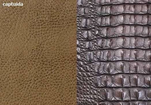 Comparison of cowhide and crocodile skin