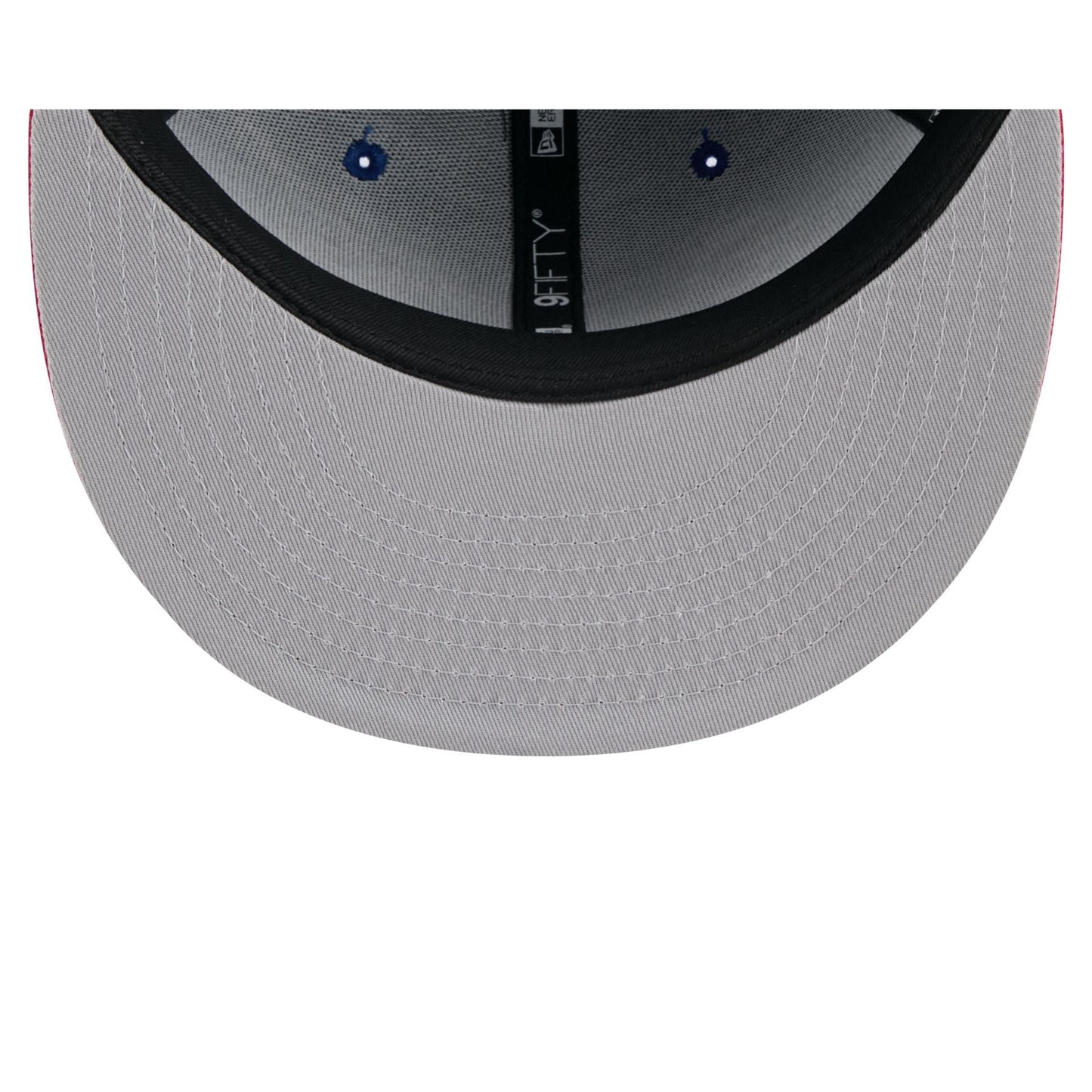 Chicago Cubs Generation Mascots 9FIFTY Snapback Hat
